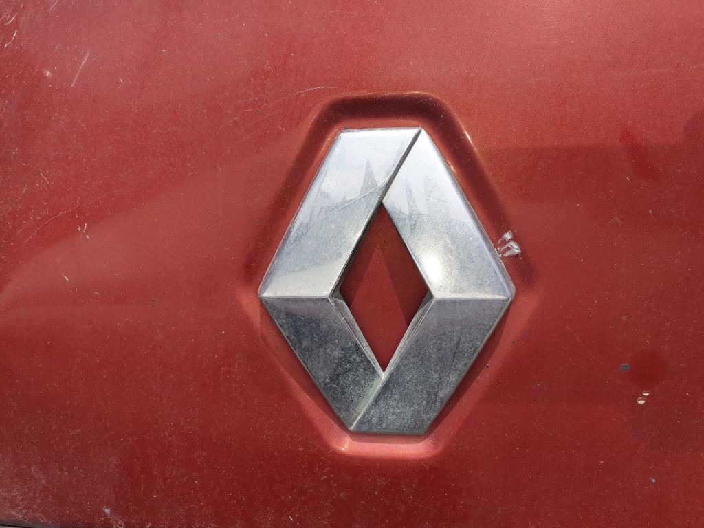 Renault Kangoo Çıkma Arma